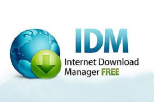 Internet Download Manager Crack 6.41 Build 18 + Serial Number